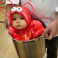 crawfish baby costume