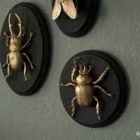 http://www.thegatheredhome.com/diy-gilded-insect-plaques/