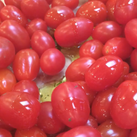 roasted tomatoes and dill recipe by Katie Brown